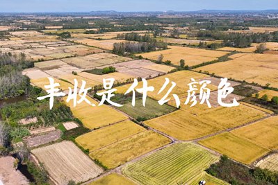 春種一粒粟，秋收萬顆子。多彩的豐收季，只愿五谷豐登，百事興旺3.240_400.jpg