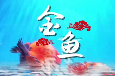 金魚歡躍，流光溢彩！_400.jpg